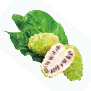 Irdische Hilfen - wie z.B. die Noni Frucht - unterstützt die Gesundheit - Roswitha Schmidt weiß, wie es geht